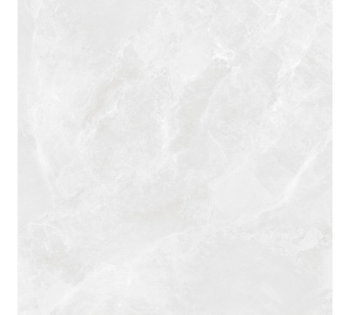 Regnum Bianco Керамогранит светло-серый CR6060G0391R 59,5х59,5 матовый