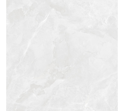 Regnum Bianco Керамогранит светло-серый CR6060G0391R 59,5х59,5 матовый