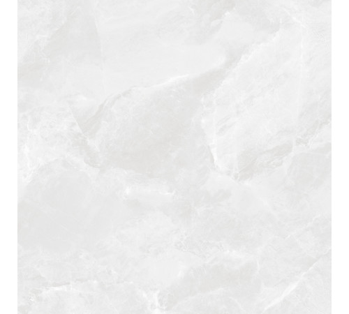 Regnum Bianco Керамогранит светло-серый CR6060G0391R 59,5х59,5 матовый