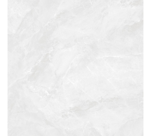 Regnum Bianco Керамогранит светло-серый CR6060G0391R 59,5х59,5 матовый