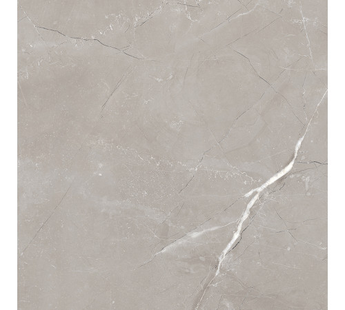 Vitrum Grigio Керамогранит серый 60x60 матовый