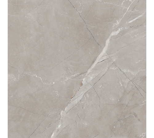 Vitrum Grigio Керамогранит серый 60x60 матовый