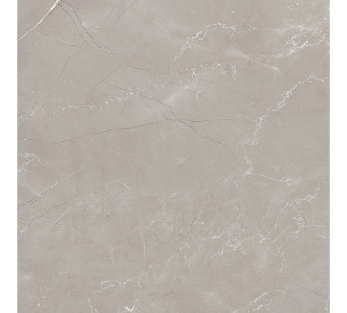 Vitrum Grigio Керамогранит серый 60x60 матовый