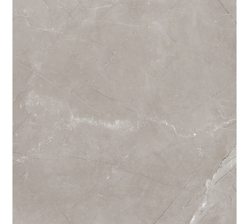 Vitrum Grigio Керамогранит серый 60x60 матовый