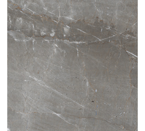 Patara Grigio Керамогранит I Серый 60x60 Полированный