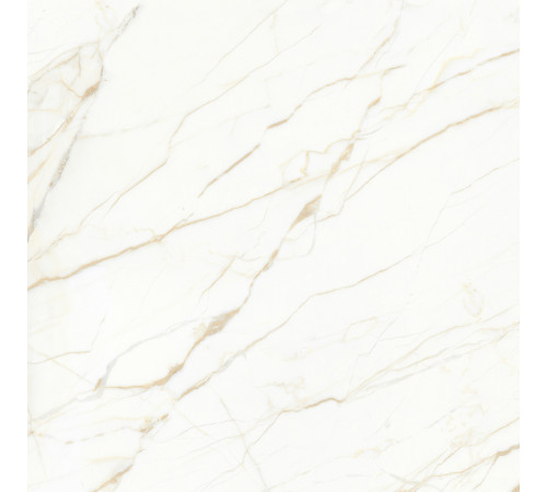 Europa Gold l Керамогранит белый 60x60 Матовый Карвинг