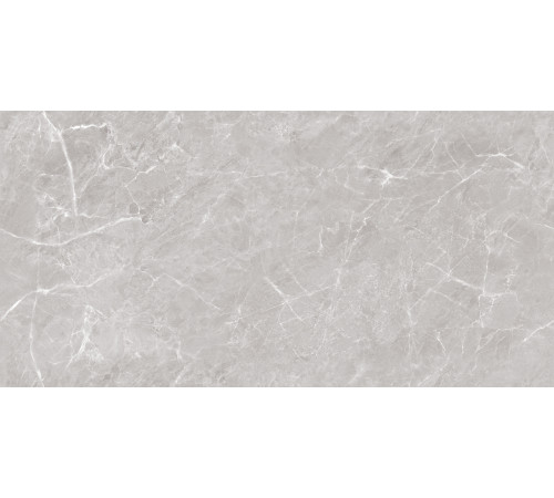 Mramor Chic Silver Керамогранит серый 60х120 Полированный