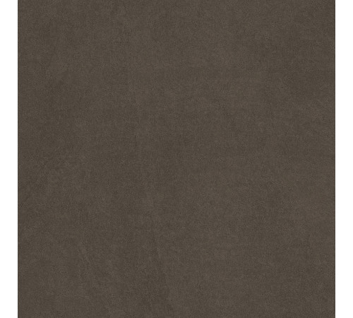 Sandstone Brown PRO Керамогранит коричневый 60х60 матовый R10GR