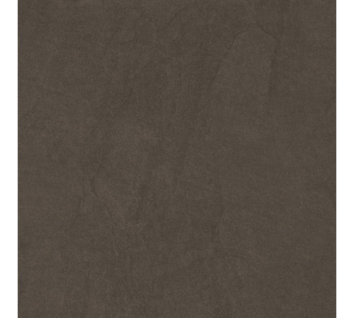 Sandstone Brown PRO Керамогранит коричневый 60х60 матовый R10GR