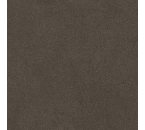 Sandstone Brown PRO Керамогранит коричневый 60х60 матовый R10GR