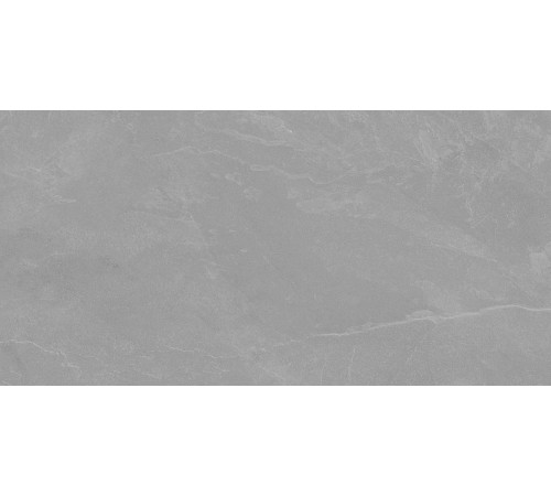 Archie Grey Pro Керамогранит серый 60х120 матовый R10GR STR
