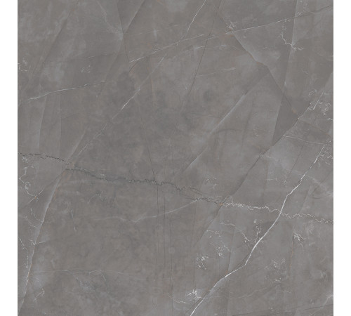 Timeless Taupe Керамогранит серо-бежевый LP6060G0051R 59,5х59,5 матовый карвинг