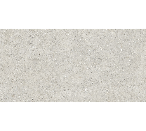 Granito Grigio Керамогранит серый CR6012G0471R 59,5х119,1 матовый