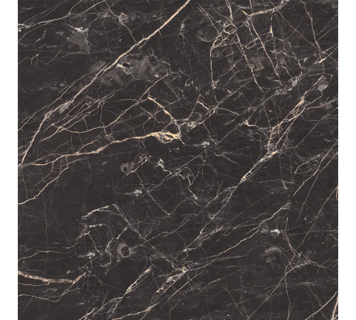 Black Arkadia Керамогранит черный полированный 60х60