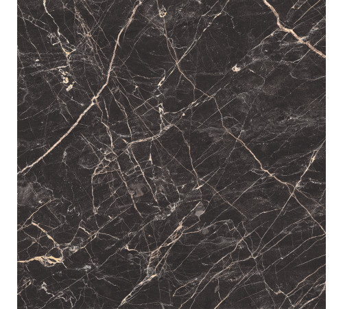 Black Arkadia Керамогранит черный полированный 60х60