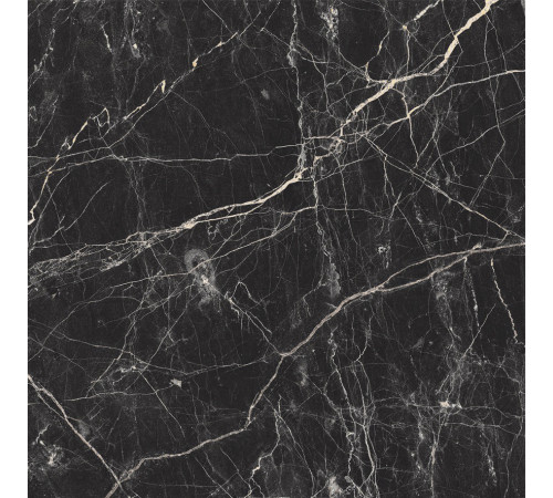 Black Arkadia Керамогранит черный полированный 60х60