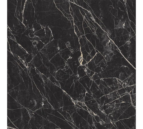 Black Arkadia Керамогранит черный полированный 60х60