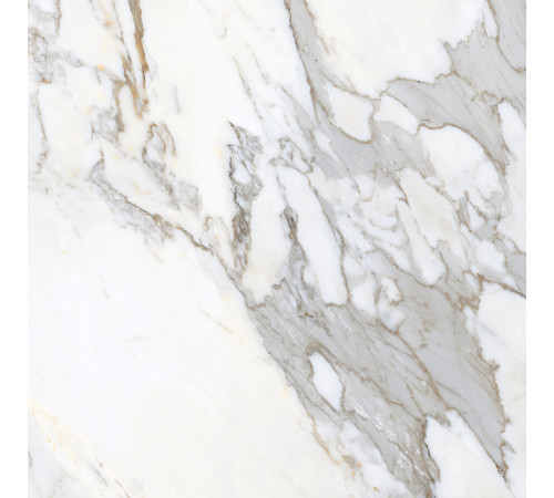 Calacatta Roma Керамогранит 60х60 Матовый