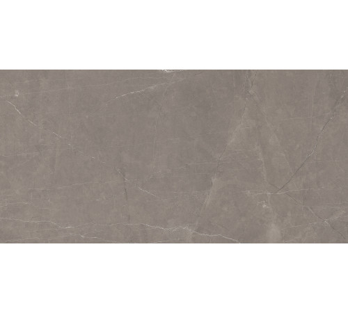 Stone Micado Grey Керамогранит серый 60х120 Полированный