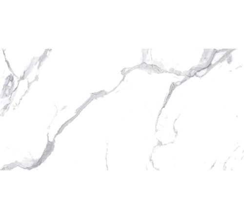 Calacatta Splendid Silver Керамогранит белый 60х120 Матовый