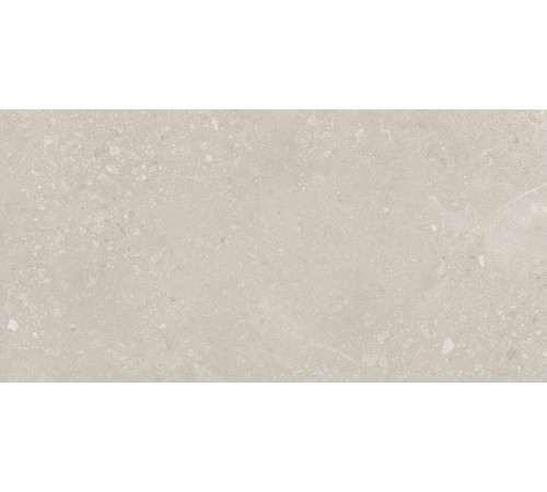 Nelson Керамогранит бежевый K948162LPR01LPER 59,7х119,7 лаппатированный