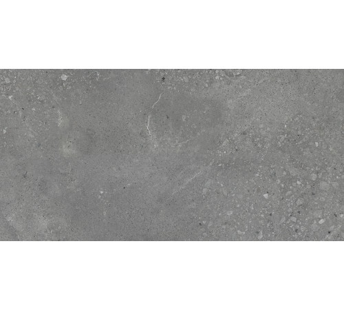 Nelson Керамогранит тёмно-серый K948160LPR01LPER 59,7х119,7 лаппатированный