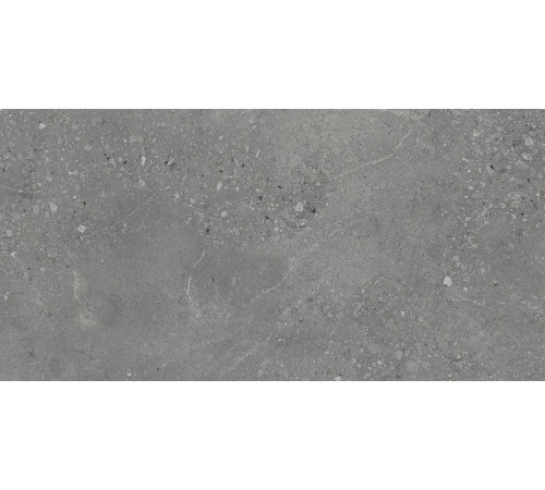 Nelson Керамогранит тёмно-серый K948160LPR01LPER 59,7х119,7 лаппатированный