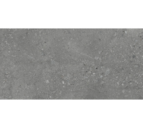 Nelson Керамогранит тёмно-серый K948160LPR01LPER 59,7х119,7 лаппатированный