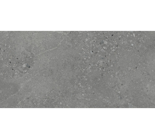 Nelson Керамогранит тёмно-серый K948160LPR01LPER 59,7х119,7 лаппатированный