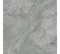 Regnum Grigio Керамогранит серый CR6060G0401R 59,5х59,5 матовый