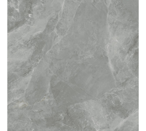 Regnum Grigio Керамогранит серый CR6060G0401R 59,5х59,5 матовый