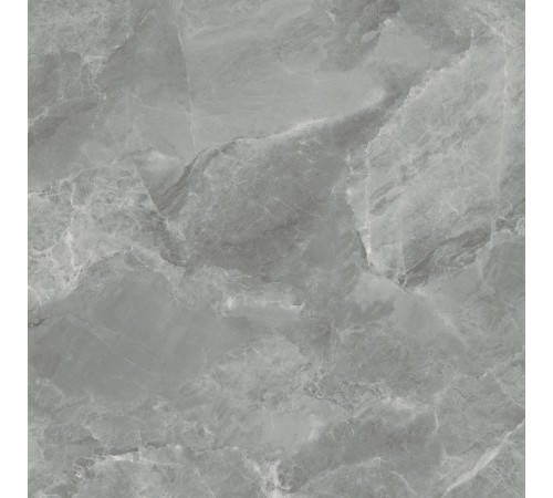 Regnum Grigio Керамогранит серый CR6060G0401R 59,5х59,5 матовый