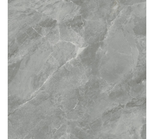 Regnum Grigio Керамогранит серый CR6060G0401R 59,5х59,5 матовый