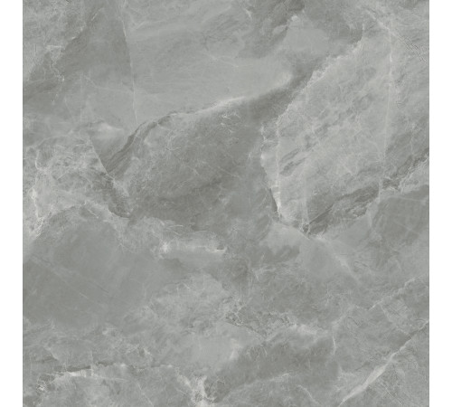 Regnum Grigio Керамогранит серый CR6060G0401R 59,5х59,5 матовый