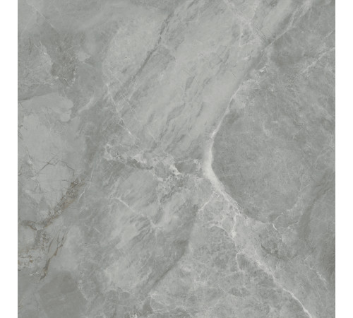 Regnum Grigio Керамогранит серый CR6060G0401R 59,5х59,5 матовый