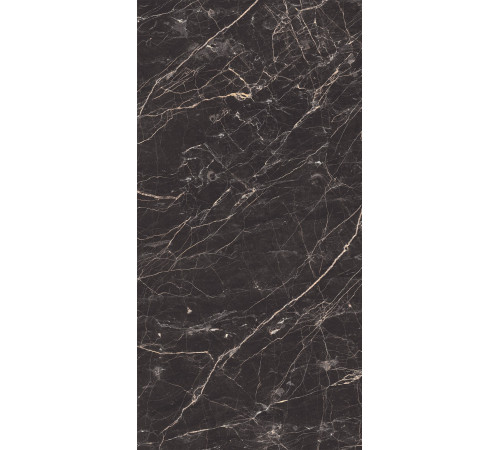 Black Arkadia Керамогранит черный полированный 60х120