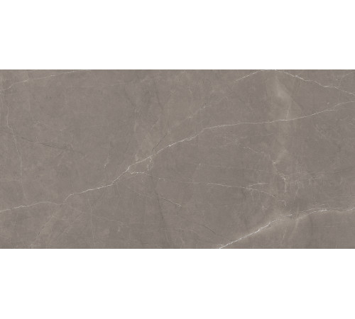 Splash Grey Керамогранит серый 60х120 Сатинированный Карвинг