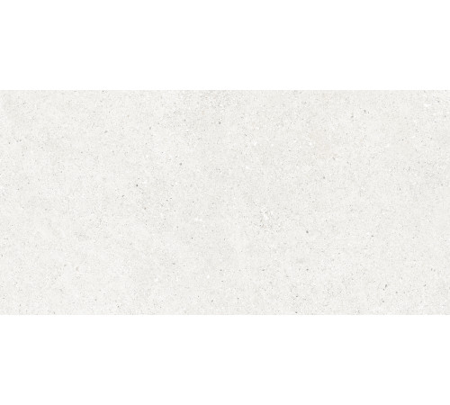 Perla Bianco Керамогранит светло-серый CR6012G0481R 59,5х119,1 матовый