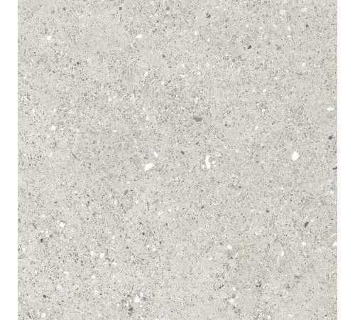 Granito Grigio Керамогранит серый CR6060G0461R 59,5х59,5 матовый