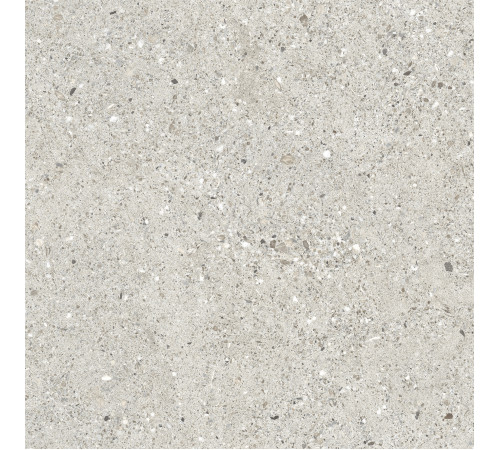 Granito Grigio Керамогранит серый CR6060G0461R 59,5х59,5 матовый