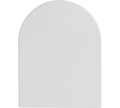 Чаша напольного унитаза Aquanet Ray-C