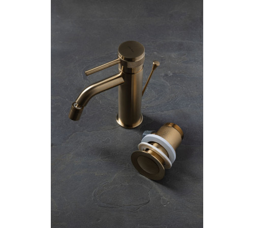 Смеситель для биде Allen Brau Priority 5.31A04-GB (с донным клапаном) золото