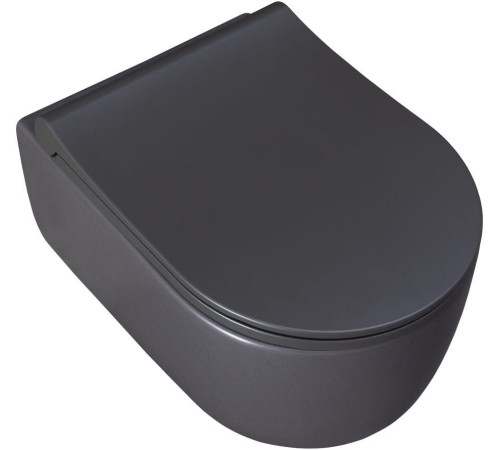 Чаша подвесного унитаза Allen Brau Priority 4.31002.AN антрацит