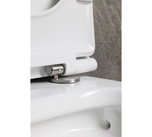 Чаша подвесного унитаза Allen Brau Liberty 4.33012.20 белый