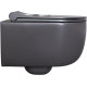 Чаша подвесного унитаза Allen Brau Priority 4.31002.AN антрацит