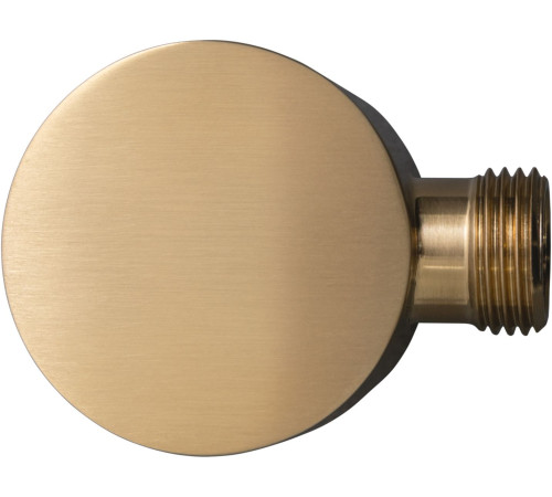 Шланговое подключение Allen Brau Priority 5.31A15-GB золото