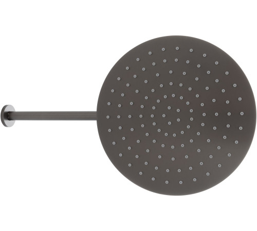 Верхний душ Allen Brau Priority 5.31A17-MG графит браш