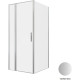 Душевой уголок Allen Brau Priority 90x100 3.31026.BA + 3.31047.BA серебро браш