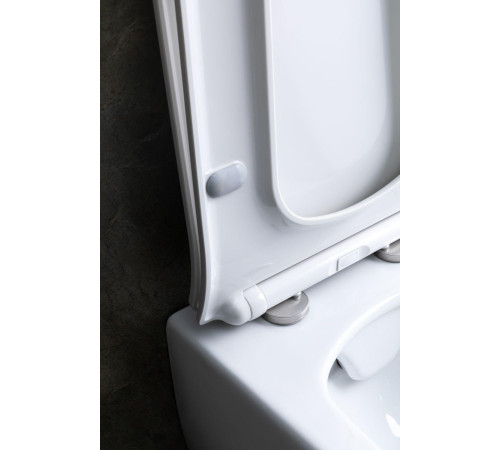 Чаша подвесного унитаза Allen Brau Liberty 4.33007.20 белый