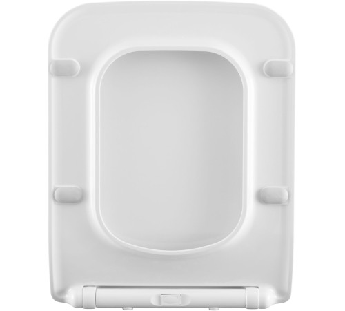 Сиденье для унитаза Allen Brau Liberty 4.33008.21 белый матовый